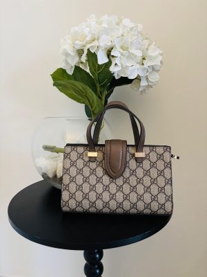 Gucci Ophidia mini bag Brown